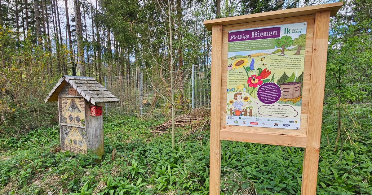 Themenweg Landwirtschaft Puch - Foto: TVB Puch